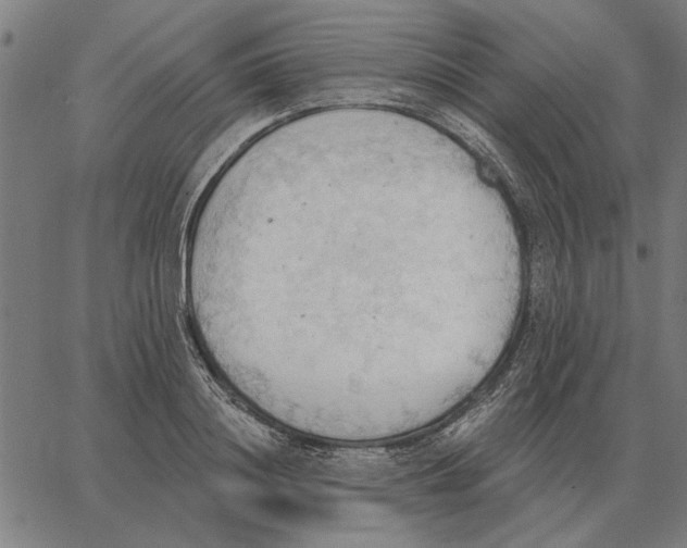 X0000062890844200602101739