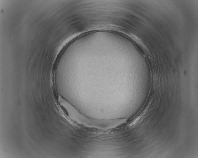 X0000062890846200602101739