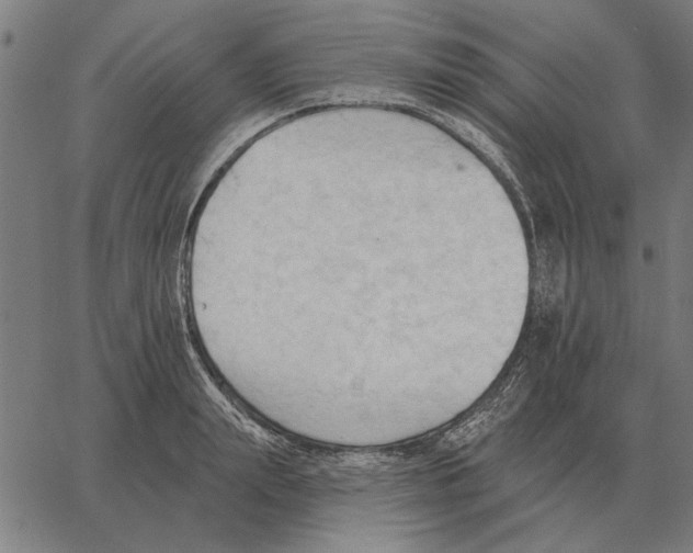 X0000062890847200602101739