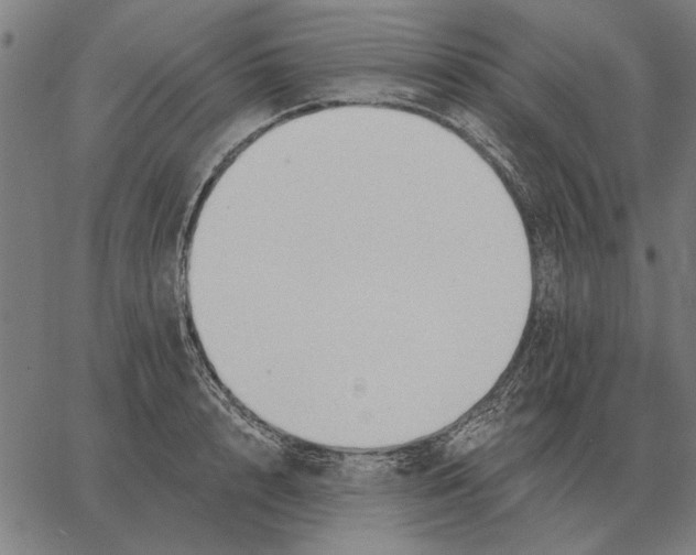 X0000062890848200602101739