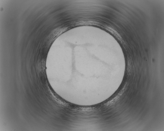 X0000062890849200602101739