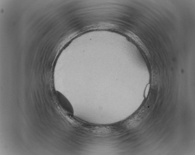 X0000062890850200602101739