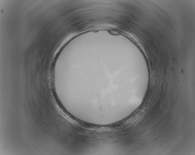 X0000062890851200602101739