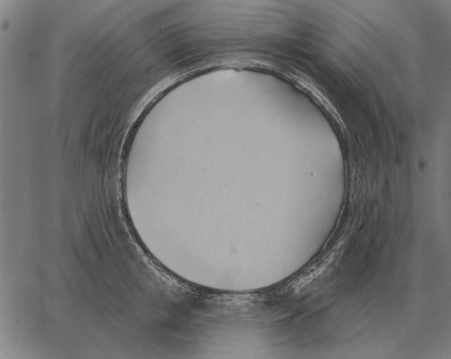 X0000062890853200602101739