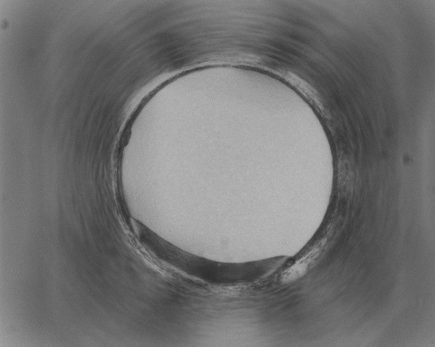 X0000062890854200602101739