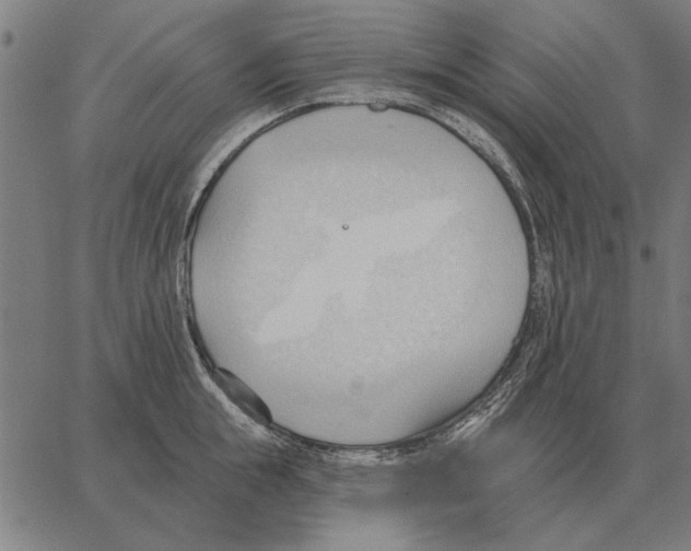 X0000062890855200602101739