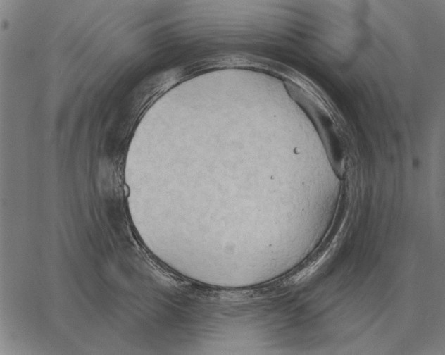 X0000062890857200602101739