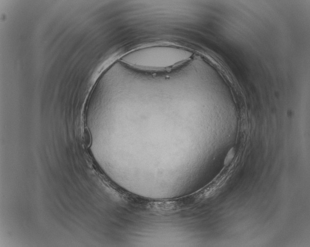 X0000062890858200602101739