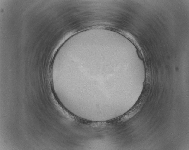 X0000062890859200602101739