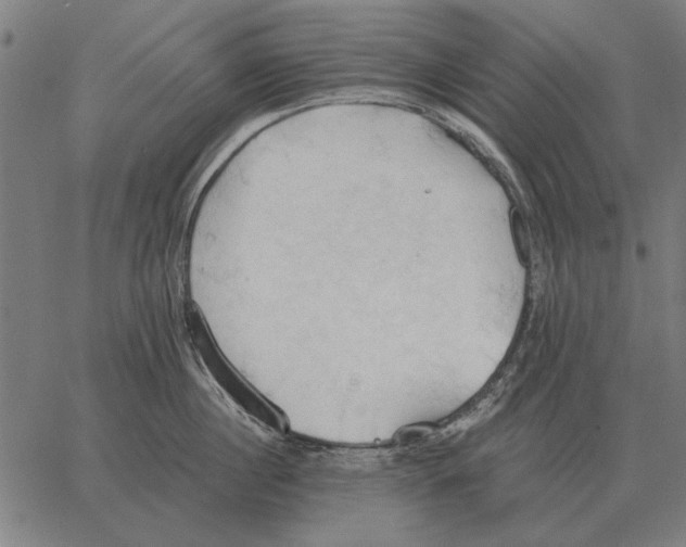 X0000062890860200602101739