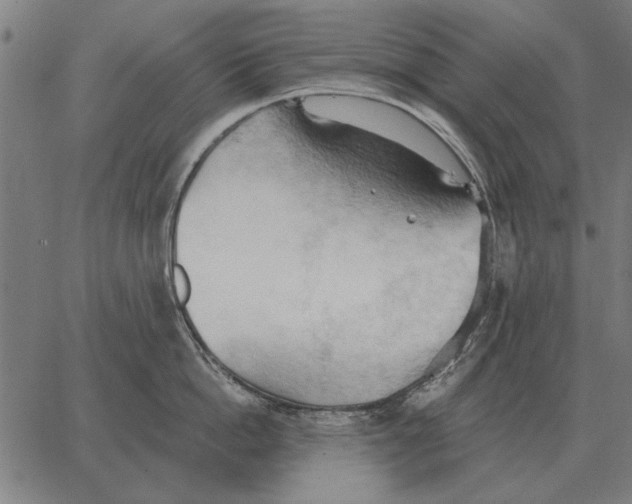 X0000062890862200602101739