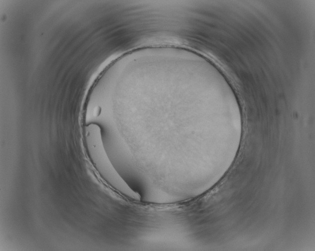 X0000062890864200602101739