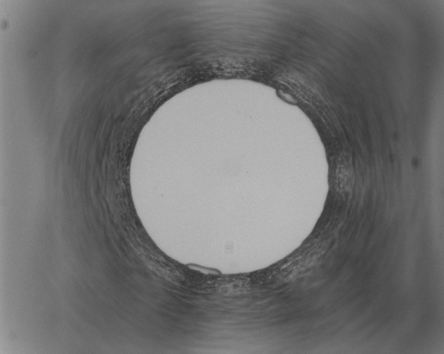 X0000062890865200602101739