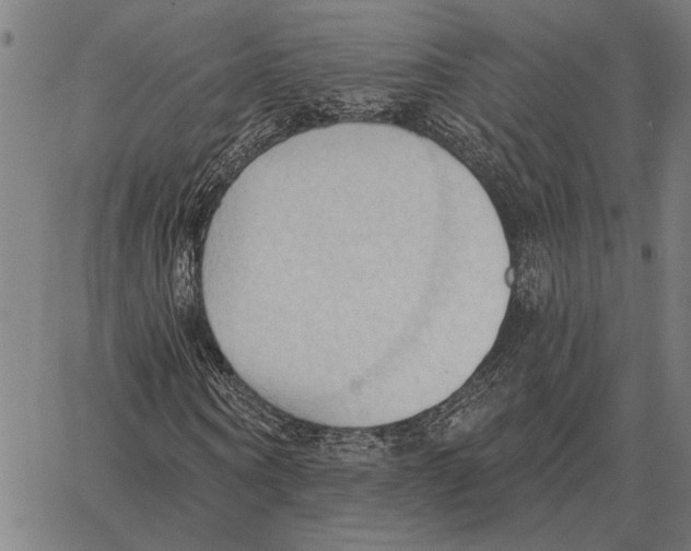 X0000062890866200602101739