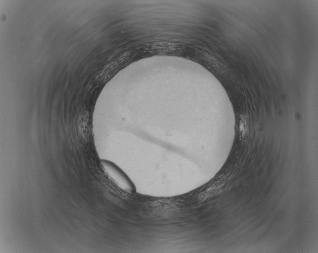 X0000062890867200602101739