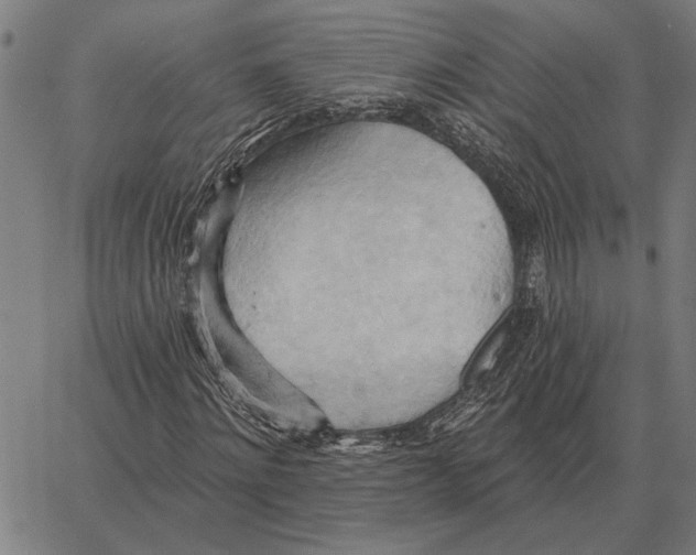 X0000062890868200602101739