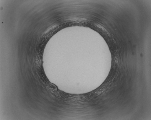 X0000062890869200602101739