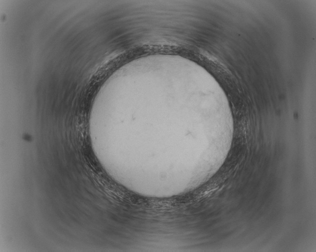 X0000062890870200602101739