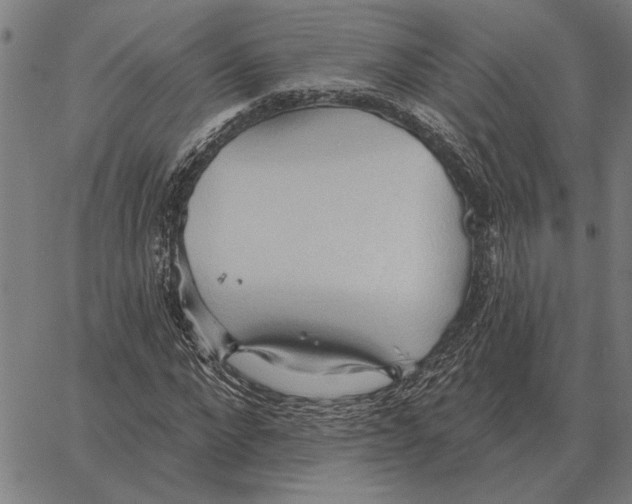 X0000062890872200602101739