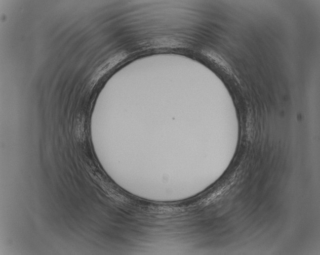 X0000062890873200602101739