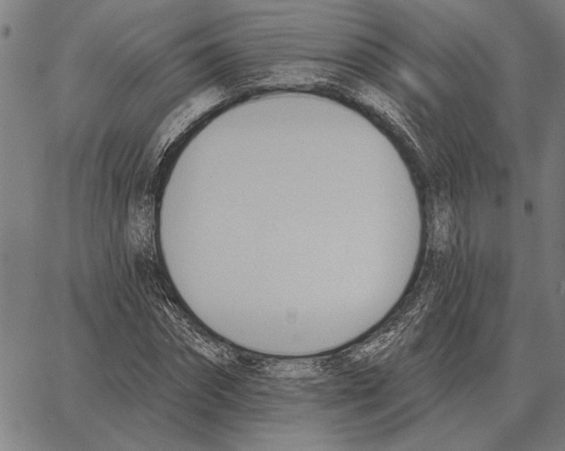 X0000062890874200602101739