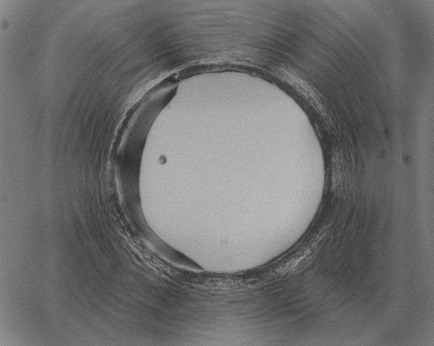 X0000062890876200602101739