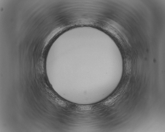 X0000062890878200602101738