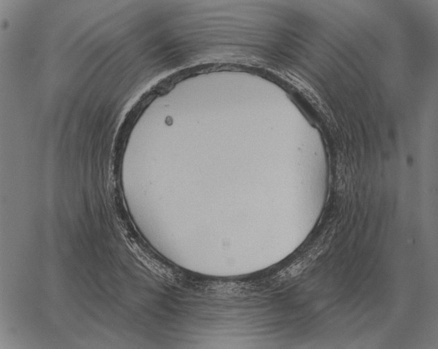 X0000062890880200602101738