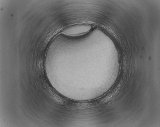 X0000062890881200602101738