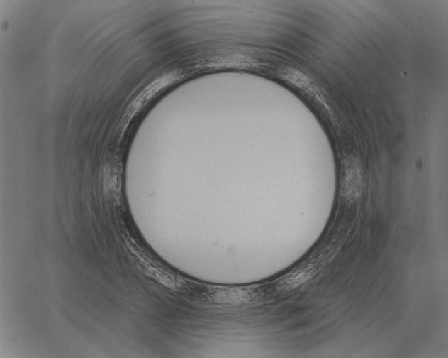 X0000062890882200602101738