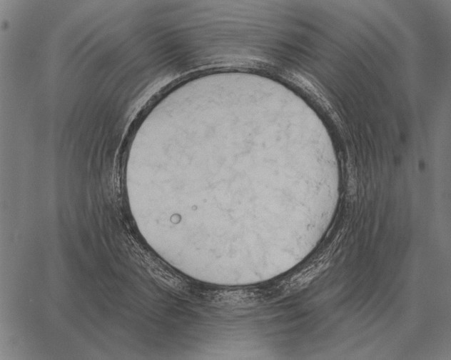 X0000062890883200602101738