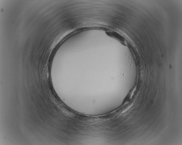 X0000062890885200602101738