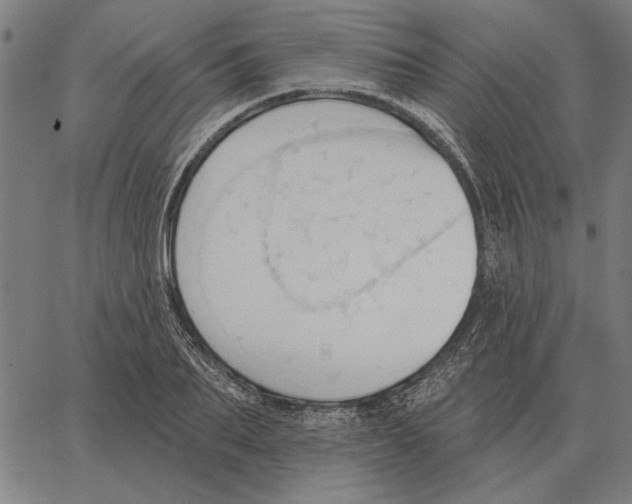 X0000062890887200602101738