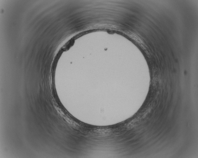 X0000062890888200602101738