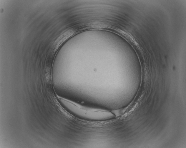 X0000062890889200602101738