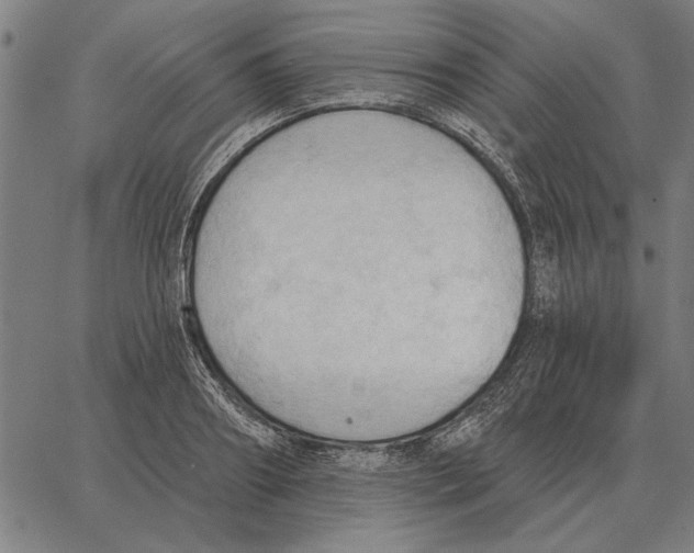 X0000062890890200602101738