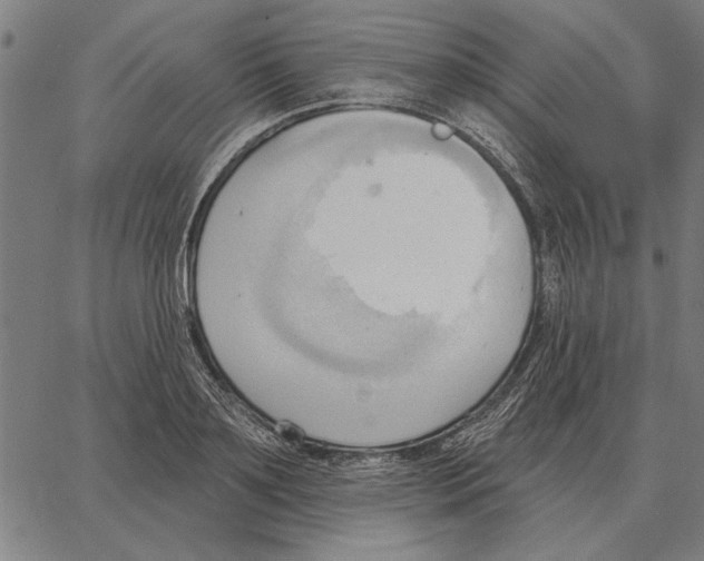 X0000062890891200602101738