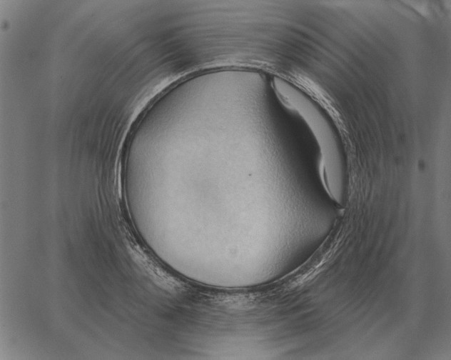 X0000062890892200602101738