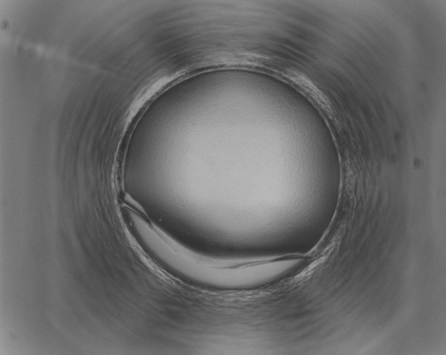 X0000062890893200602101738