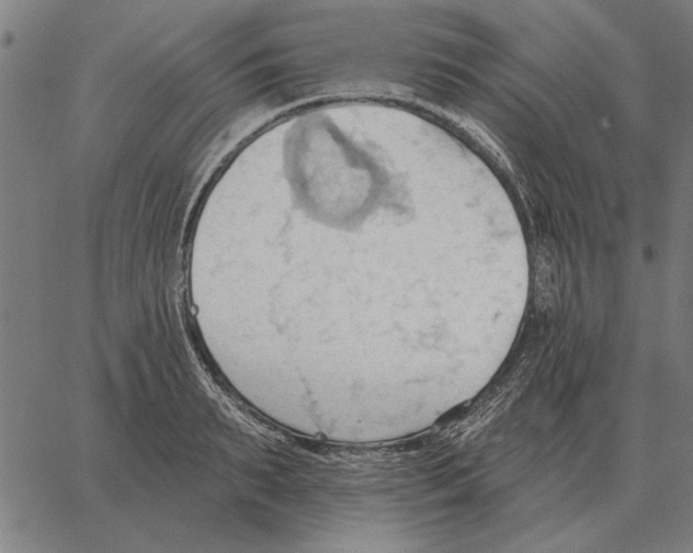 X0000062890895200602101738