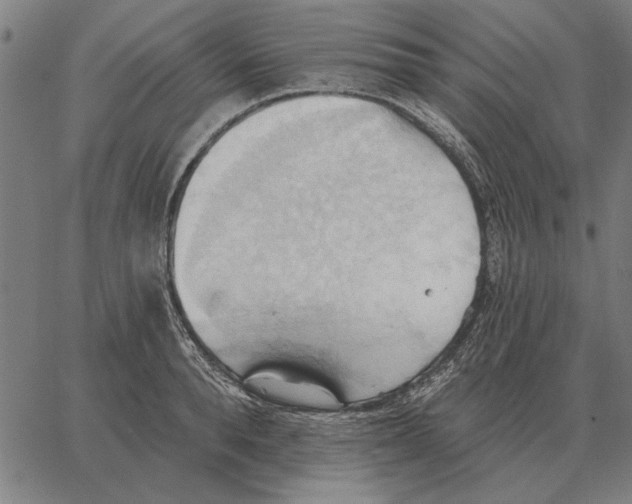 X0000062890896200602101738