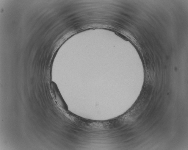 X0000062890898200602101738