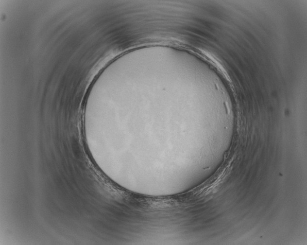 X0000062890899200602101738