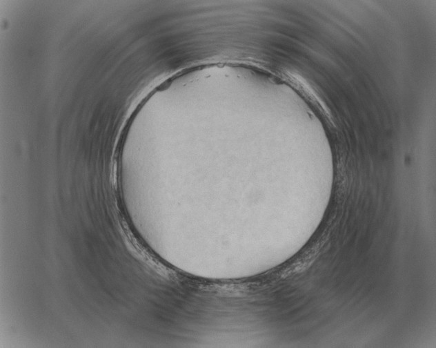 X0000062890900200602101738