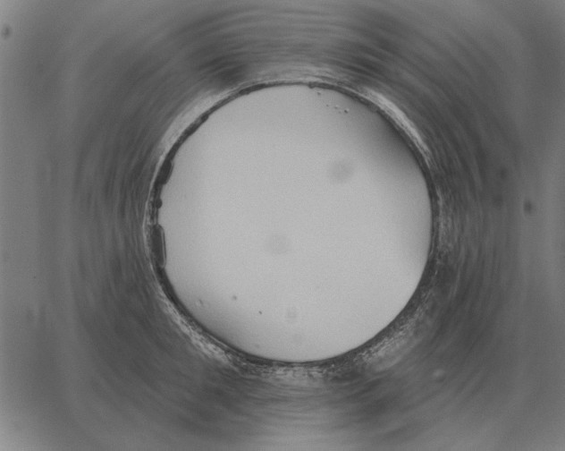 X0000062890901200602101738