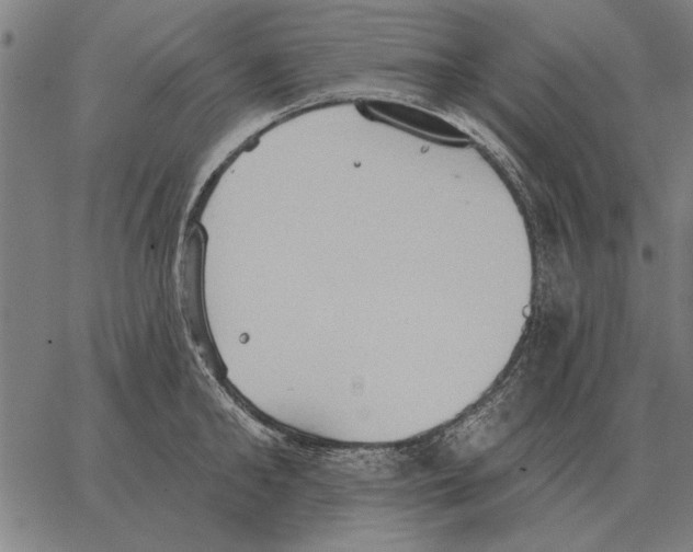 X0000062890902200602101738