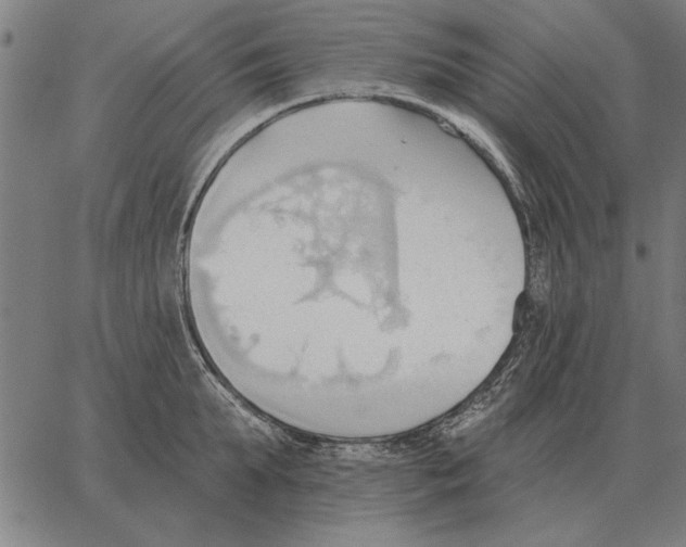 X0000062890903200602101738