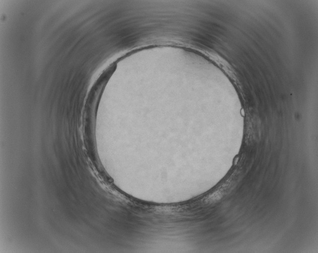 X0000062890904200602101738