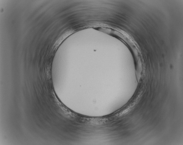 X0000062890905200602101738