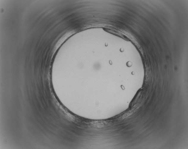 X0000062890906200602101738